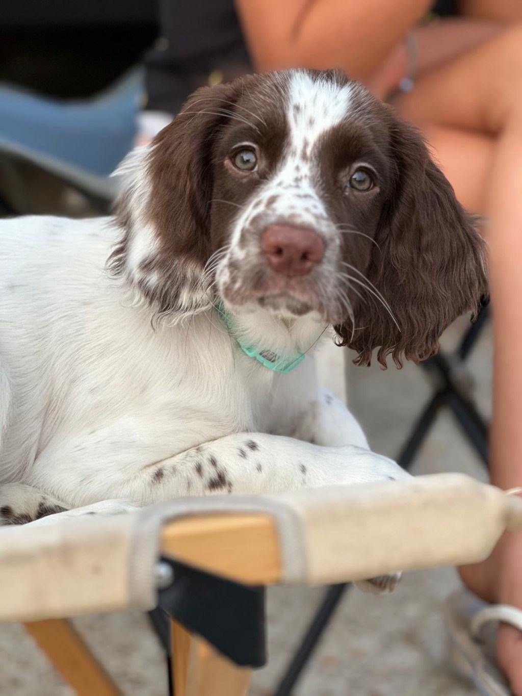 A whole heap of new&nbsp;beginnings…